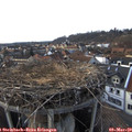 16_55-nest.jpg