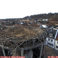 17_05-nest.jpg