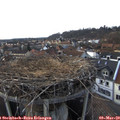 17_20-nest.jpg