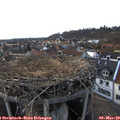 17_35-nest.jpg