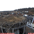 17_40-nest.jpg