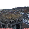 18_00-nest.jpg