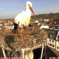 09_30-nest.jpg
