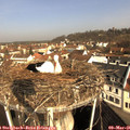 09_35-nest.jpg