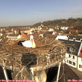 10_25-nest.jpg