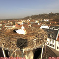 10_30-nest.jpg