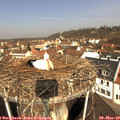 10_35-nest.jpg