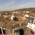 12_55-nest.jpg