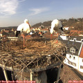 14_10-nest.jpg