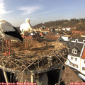 14_25-nest.jpg
