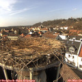 14_55-nest.jpg