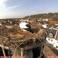 15_00-nest.jpg