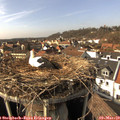15_05-nest.jpg