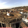 15_10-nest.jpg