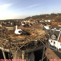15_15-nest.jpg