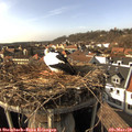 15_25-nest.jpg
