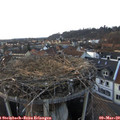 17_45-nest.jpg