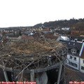 17_50-nest.jpg