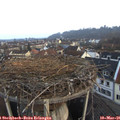07_10-nest.jpg