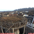 07_15-nest.jpg