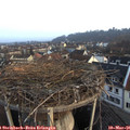 07_20-nest.jpg