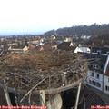 08_00-nest.jpg