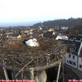 08_05-nest.jpg