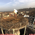 08_35-nest.jpg