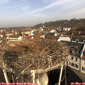 09_20-nest.jpg