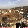 09_30-nest.jpg