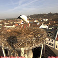 09_45-nest.jpg