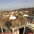 09_55-nest.jpg