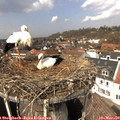13_15-nest.jpg