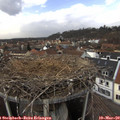 14_35-nest.jpg
