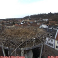 14_40-nest.jpg