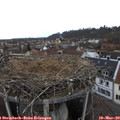 14_45-nest.jpg