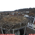14_50-nest.jpg