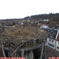 14_55-nest.jpg