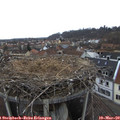 15_00-nest.jpg
