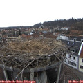 15_05-nest.jpg