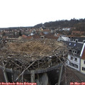 15_15-nest.jpg
