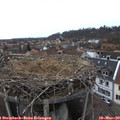 15_20-nest.jpg