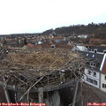 15_25-nest.jpg