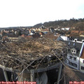 16_15-nest.jpg
