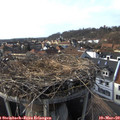 16_25-nest.jpg