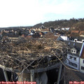 16_50-nest.jpg