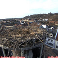 16_55-nest.jpg