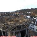 17_05-nest.jpg