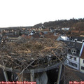 17_45-nest.jpg