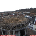 18_00-nest.jpg